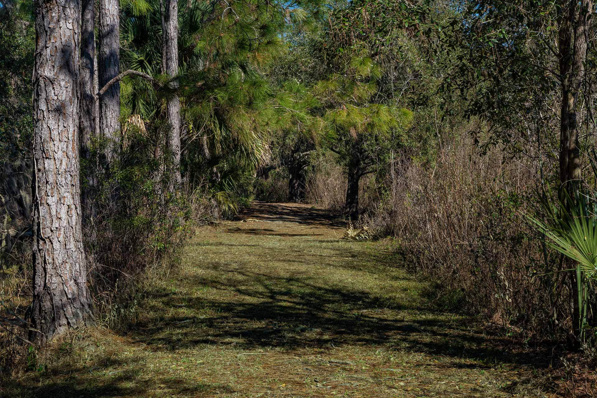 Pine Meadows Conservation Area