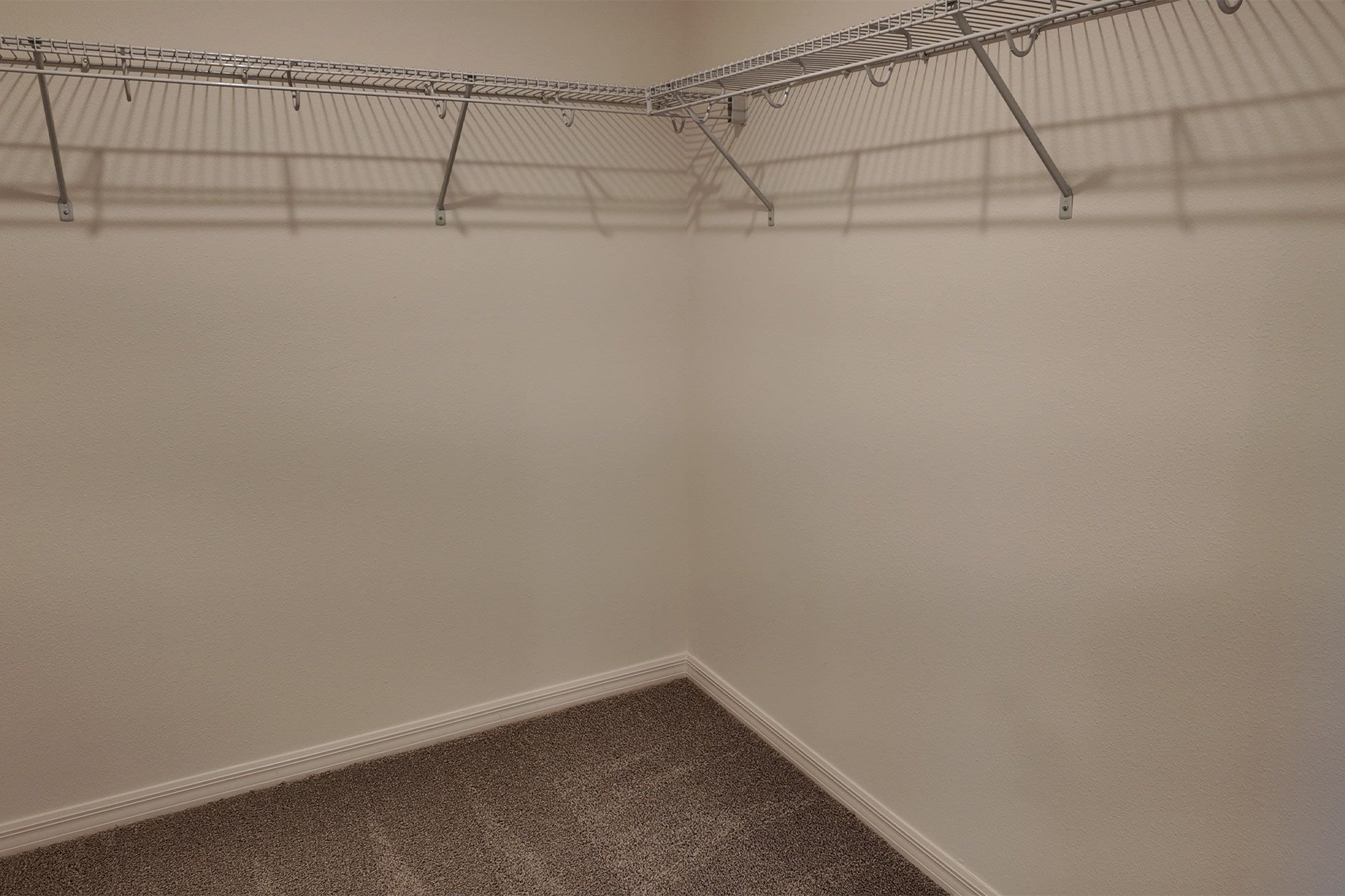 Organized Primary Bedroom Closet in Central Florida House