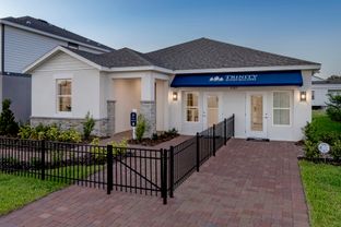 Hayden - Trinity Lakes: Groveland, Florida - Trinity Family Buildiers