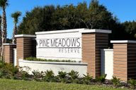 Pine Meadows Reserve por Trinity Family Buildiers en Orlando Florida