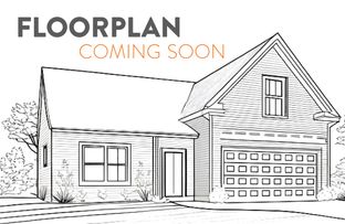 Griffon - True Homes Build OYL - Wilmington: Wilmington, North Carolina - True Homes