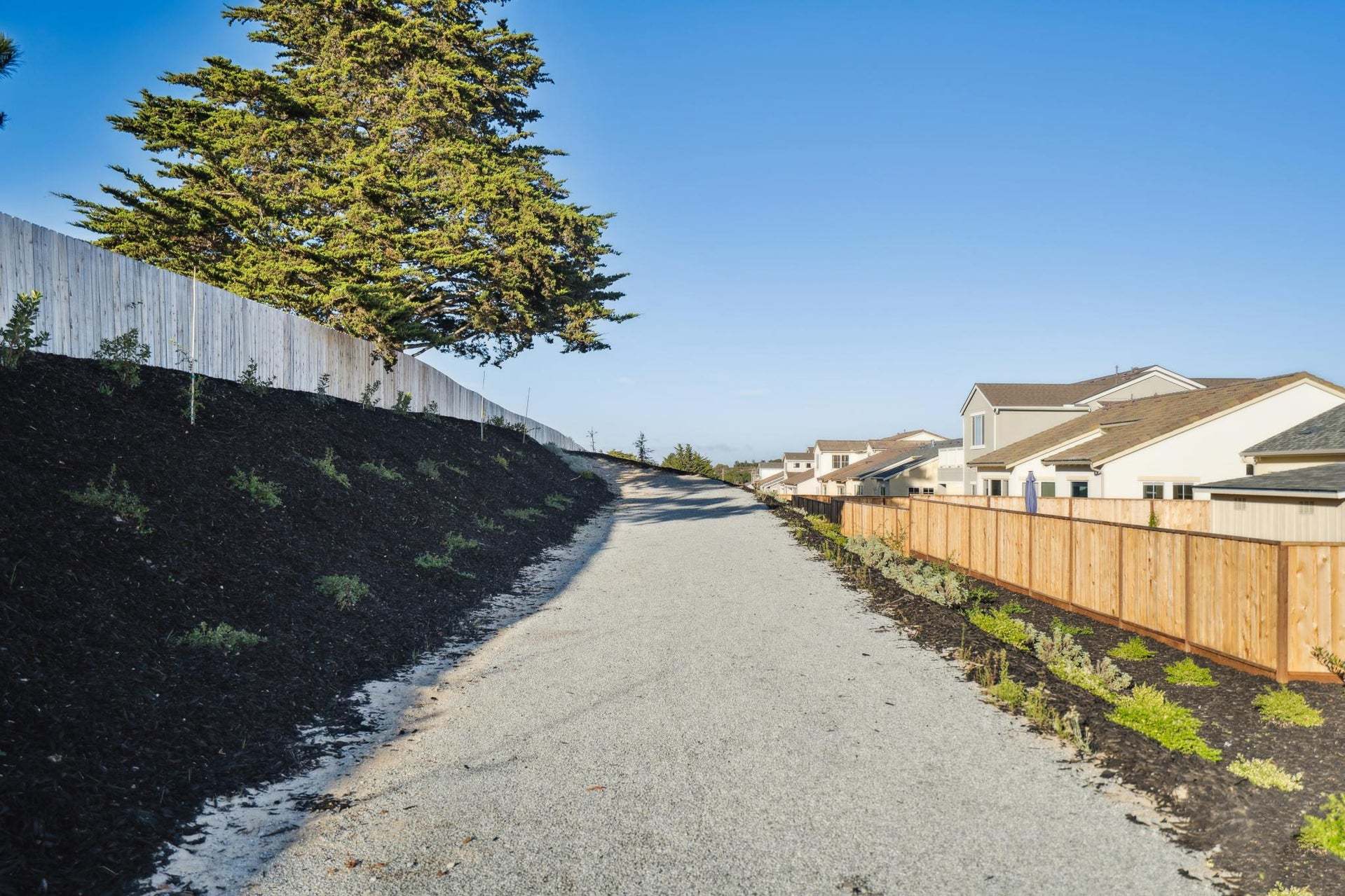 Sea Haven | Community Trail| Marina, CA