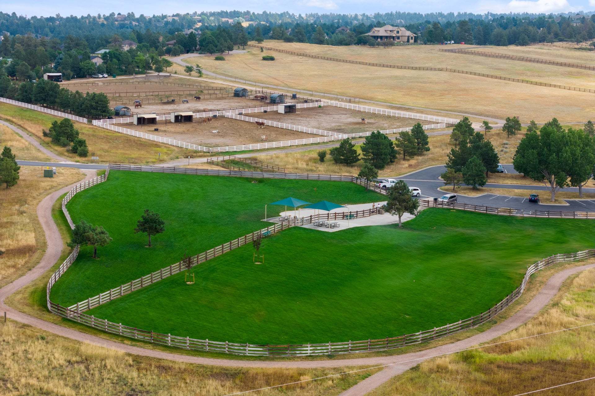 Parker Bayou Gulch Dog Park