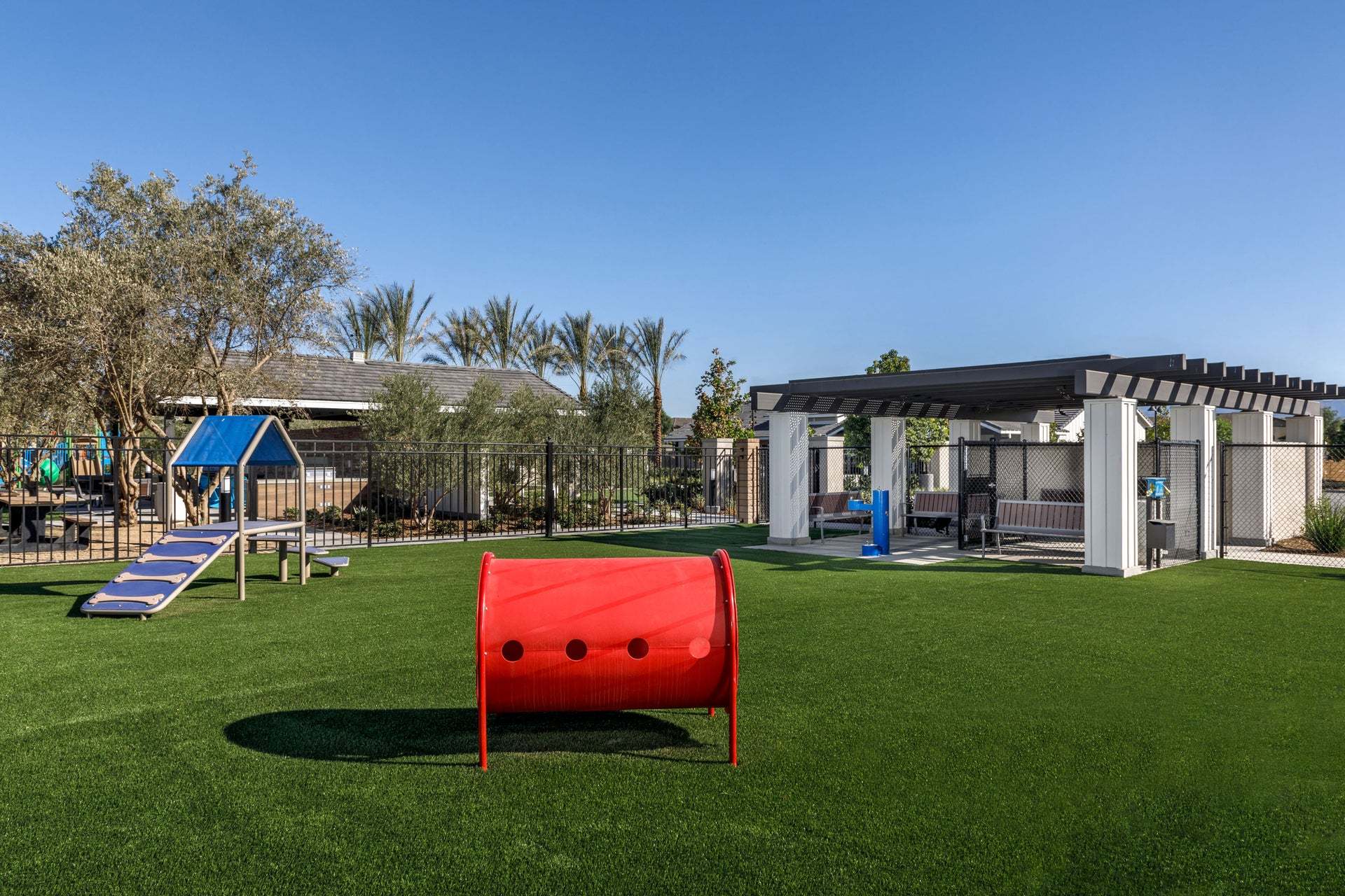 Legacy at The Preserve at Chino | Dog Park