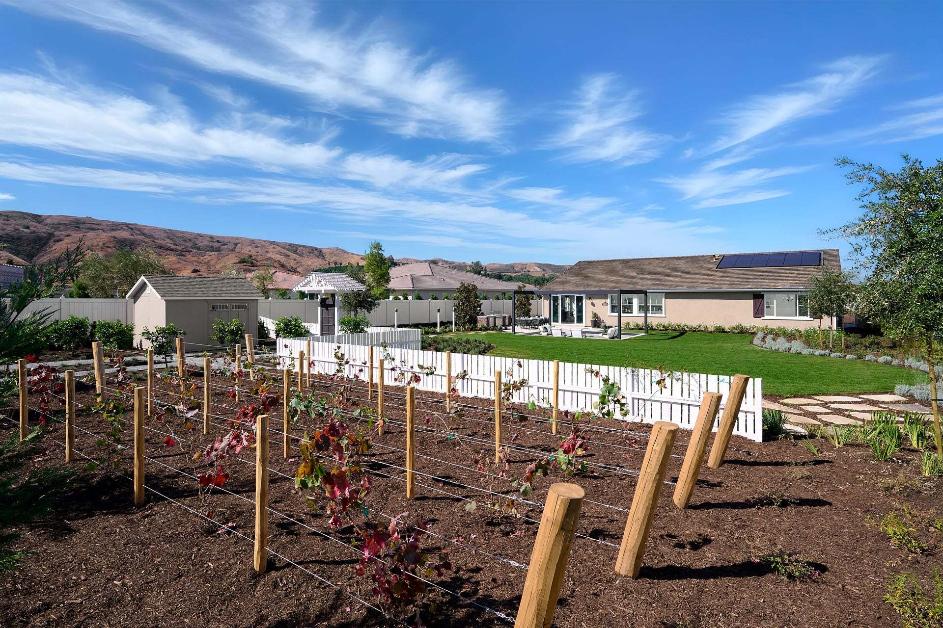 Haven at Covenant Point |Plan 1| Backyard| Loma Linda, CA