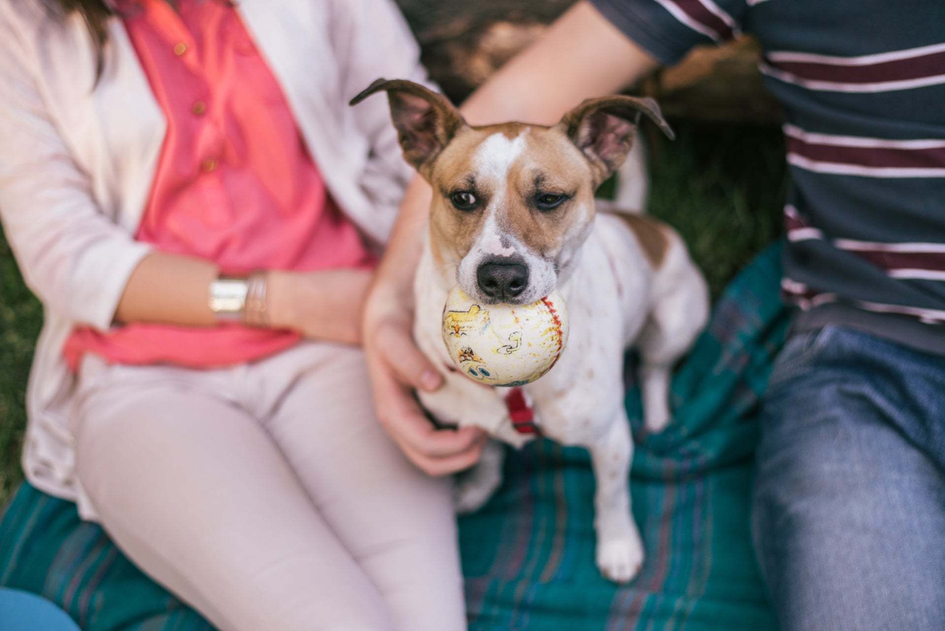 SoCal_Andara_Lifestyle_Dog