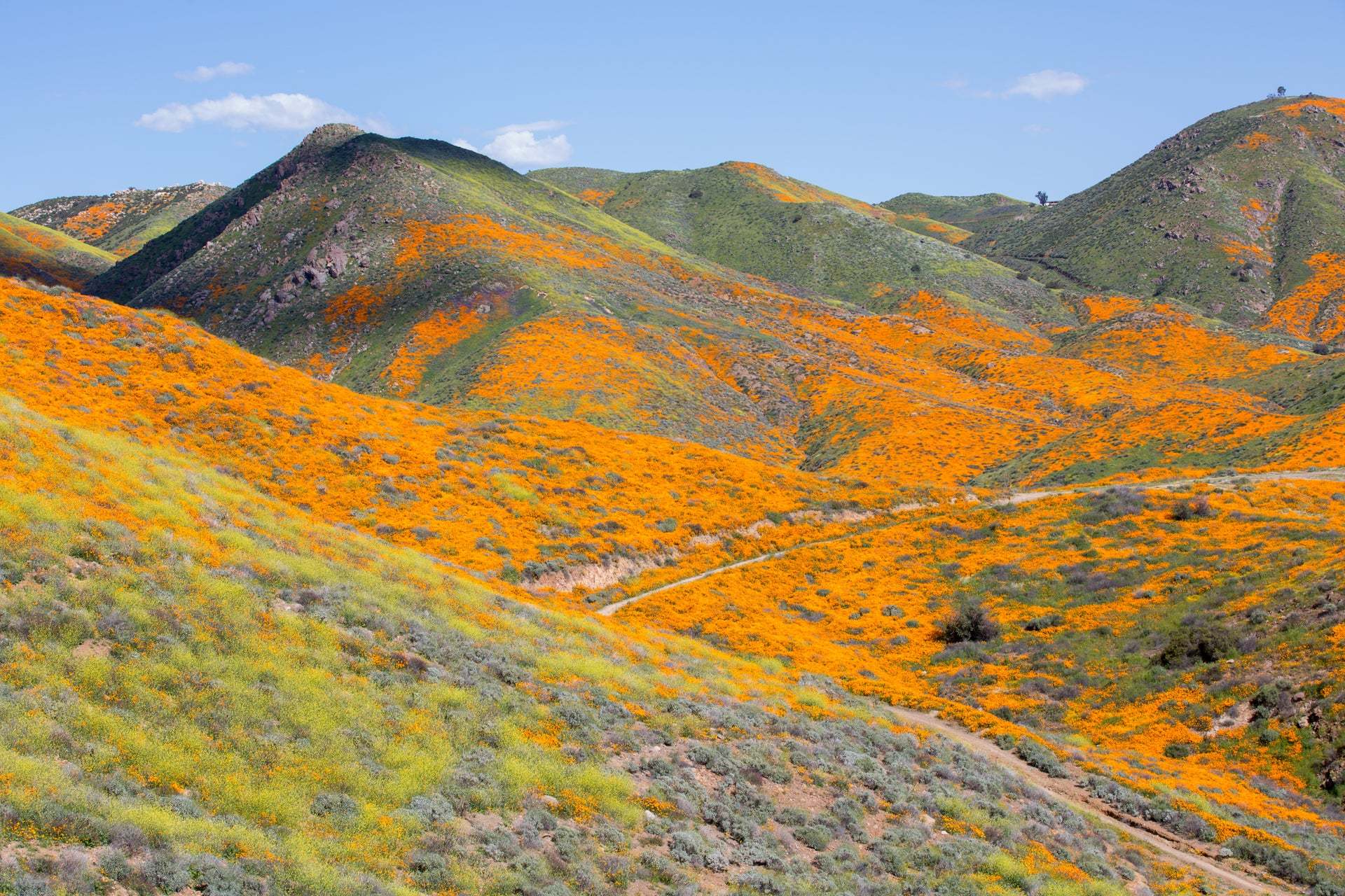 Temescal Mountains Walker Canyon | Lake Elsinore, CA