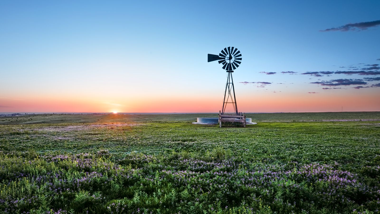 Trumark Homes at Independence | Windmill