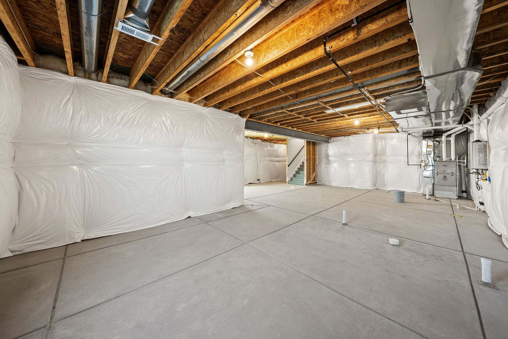 8669 Leaf Sedge Lane | Rhapsody at Sterling Ranch | Plan 2 | Basement
