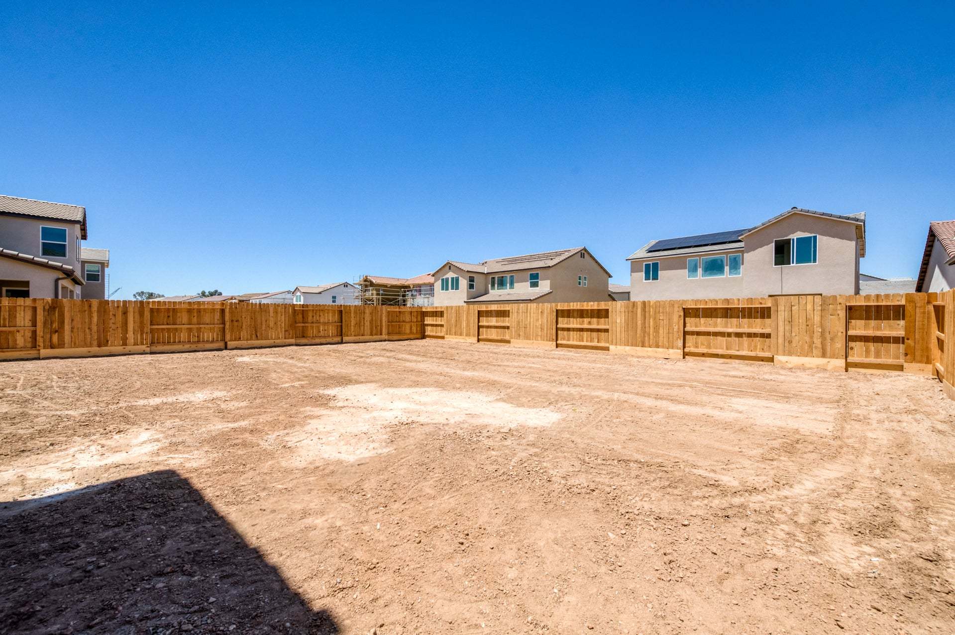 Homesite 84 | Backyard