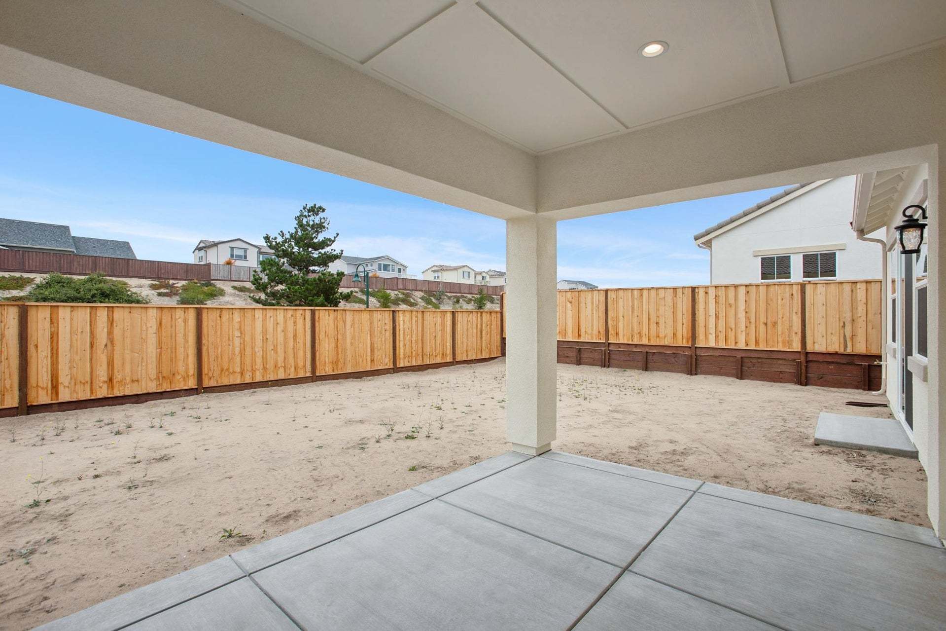 Homesite 893 | Backyard