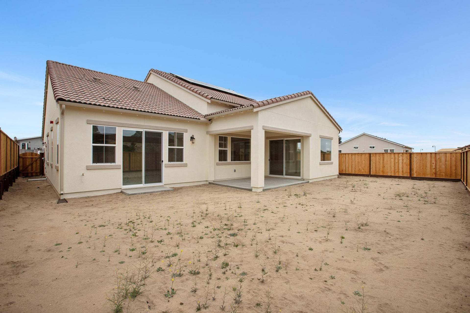 Homesite 893 | Backyard