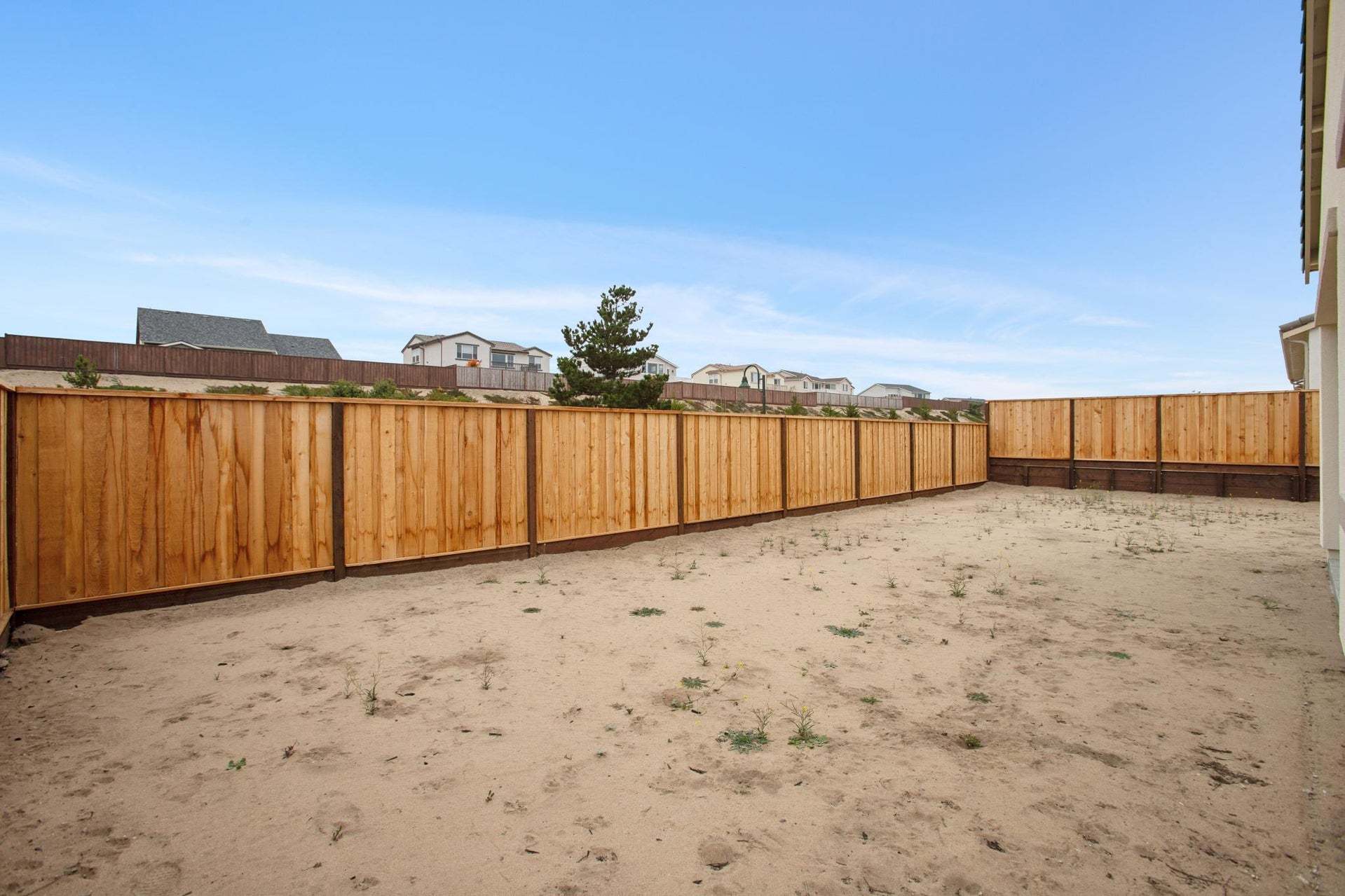 Homesite 893 | Backyard