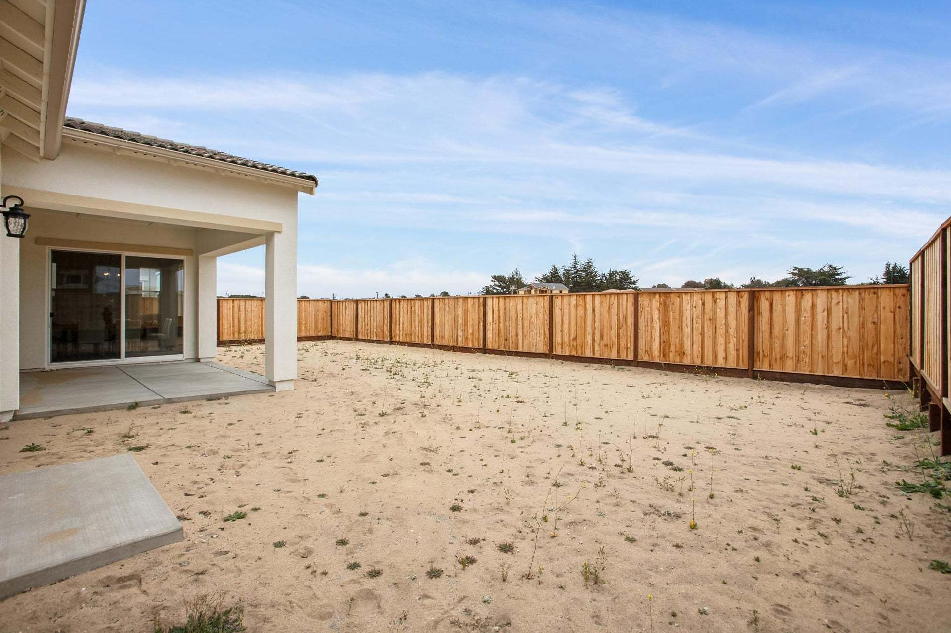 Homesite 907 | Backyard