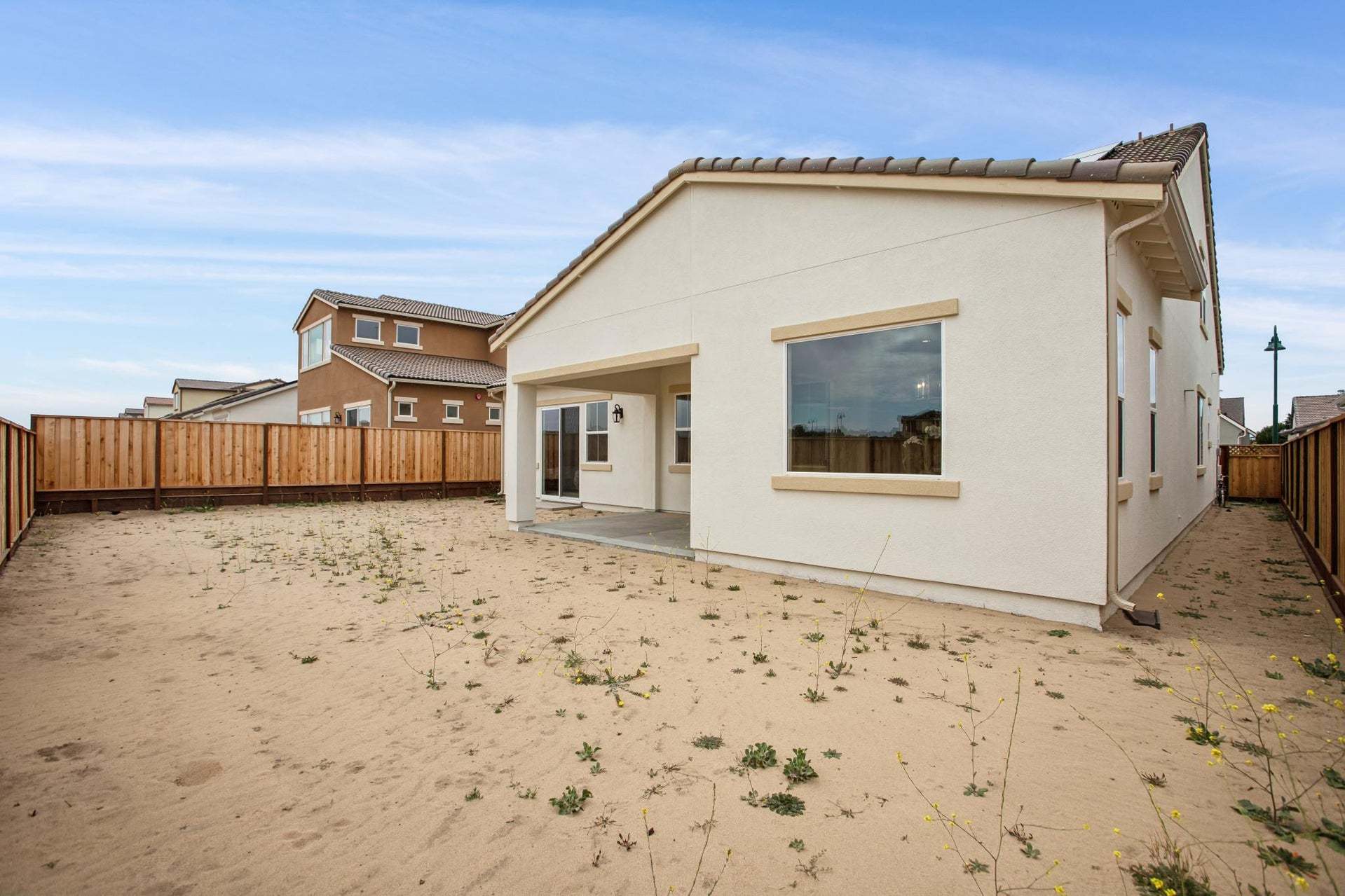 Homesite 907 | Backyard