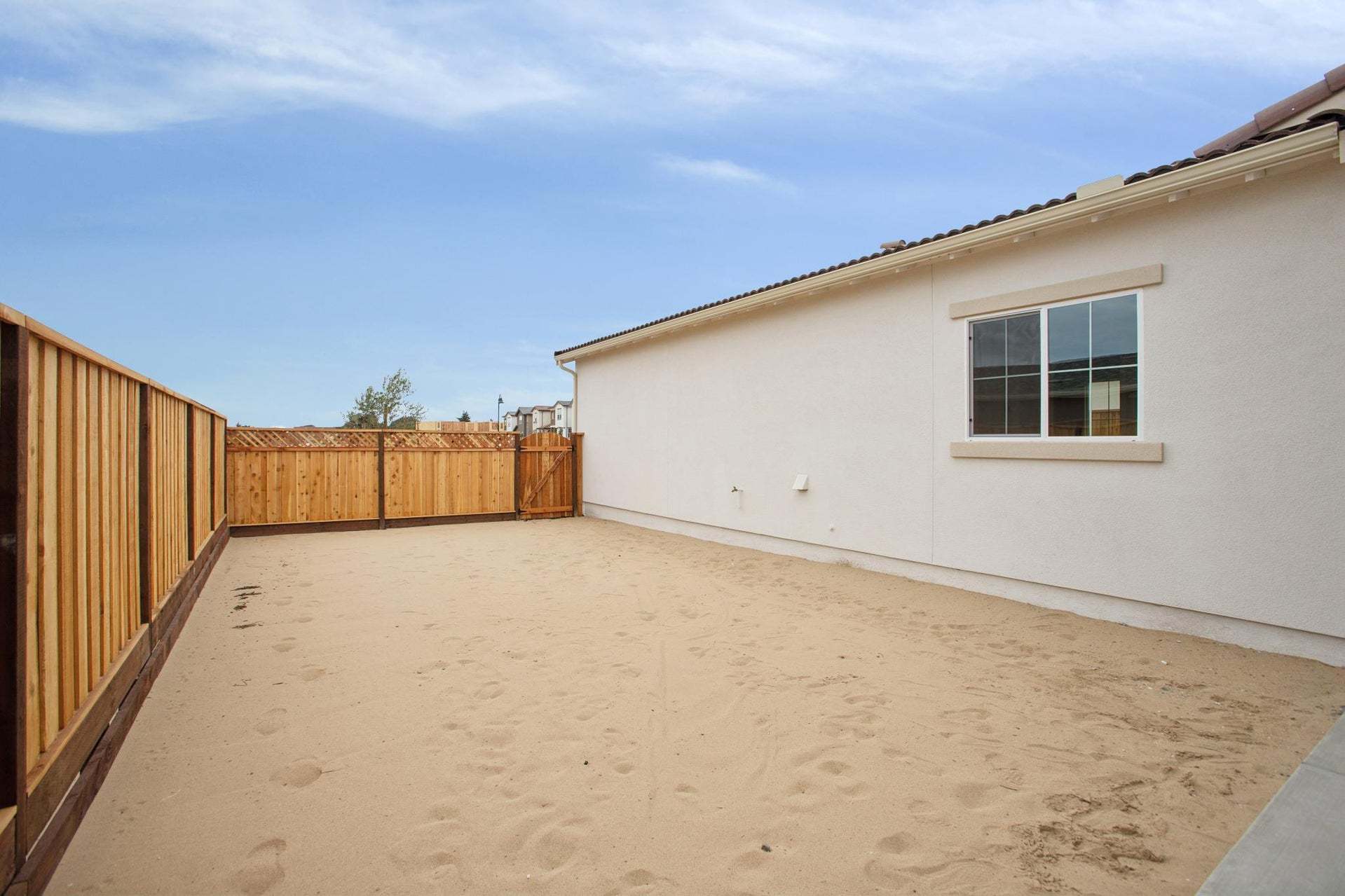 Homesite 759 | Backyard