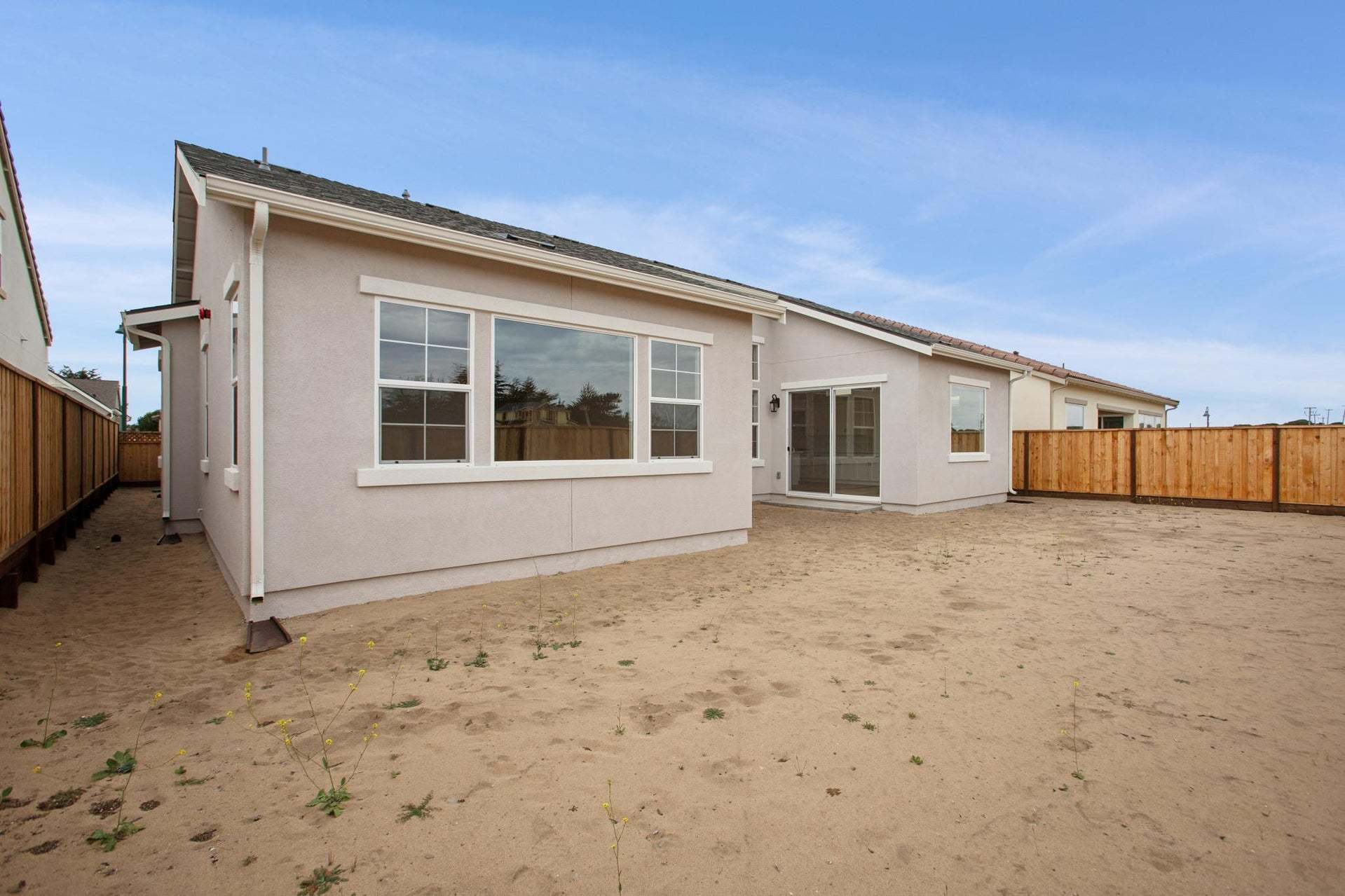Homesite 908 | Backyard