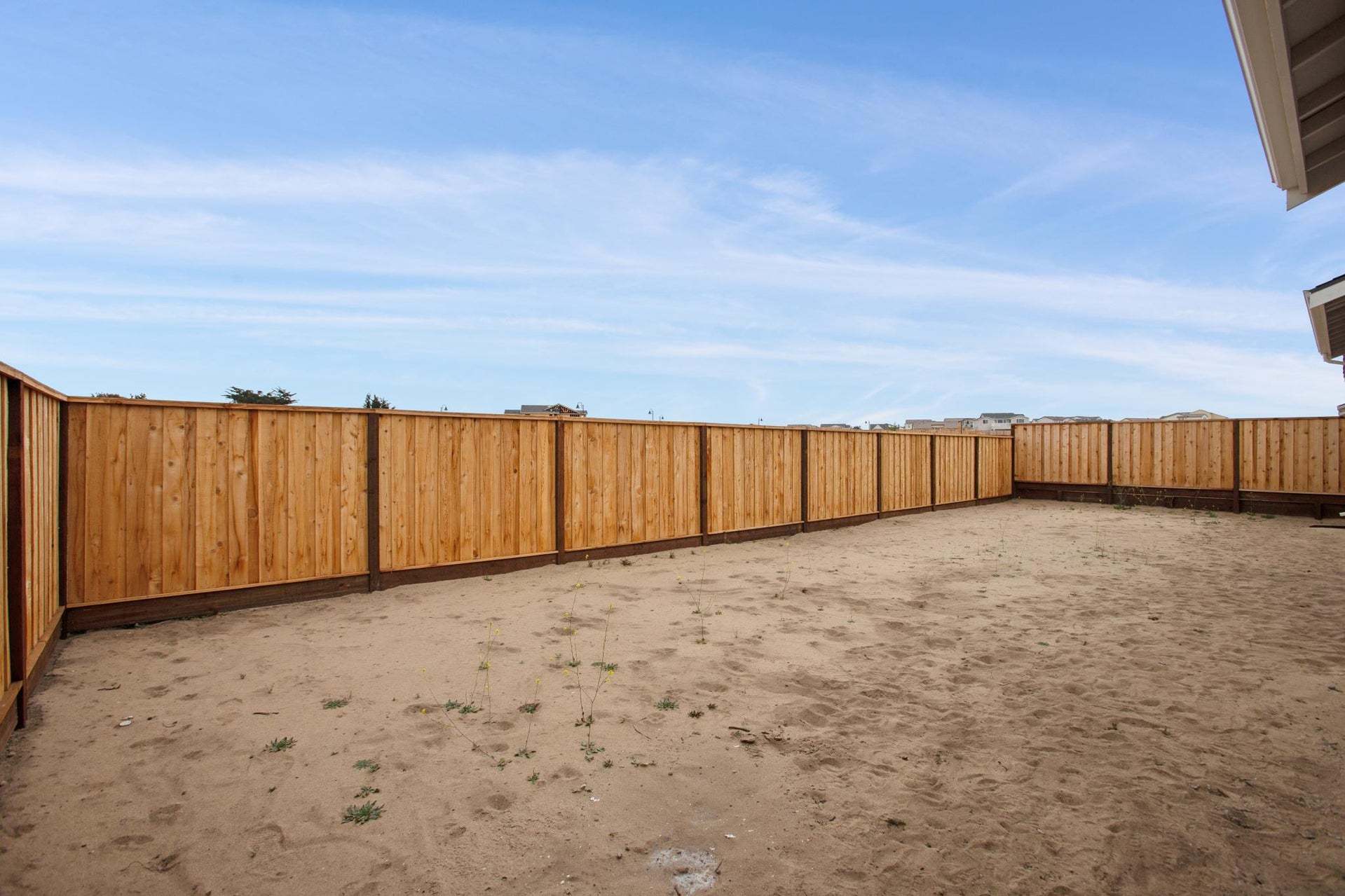 Homesite 908 | Backyard