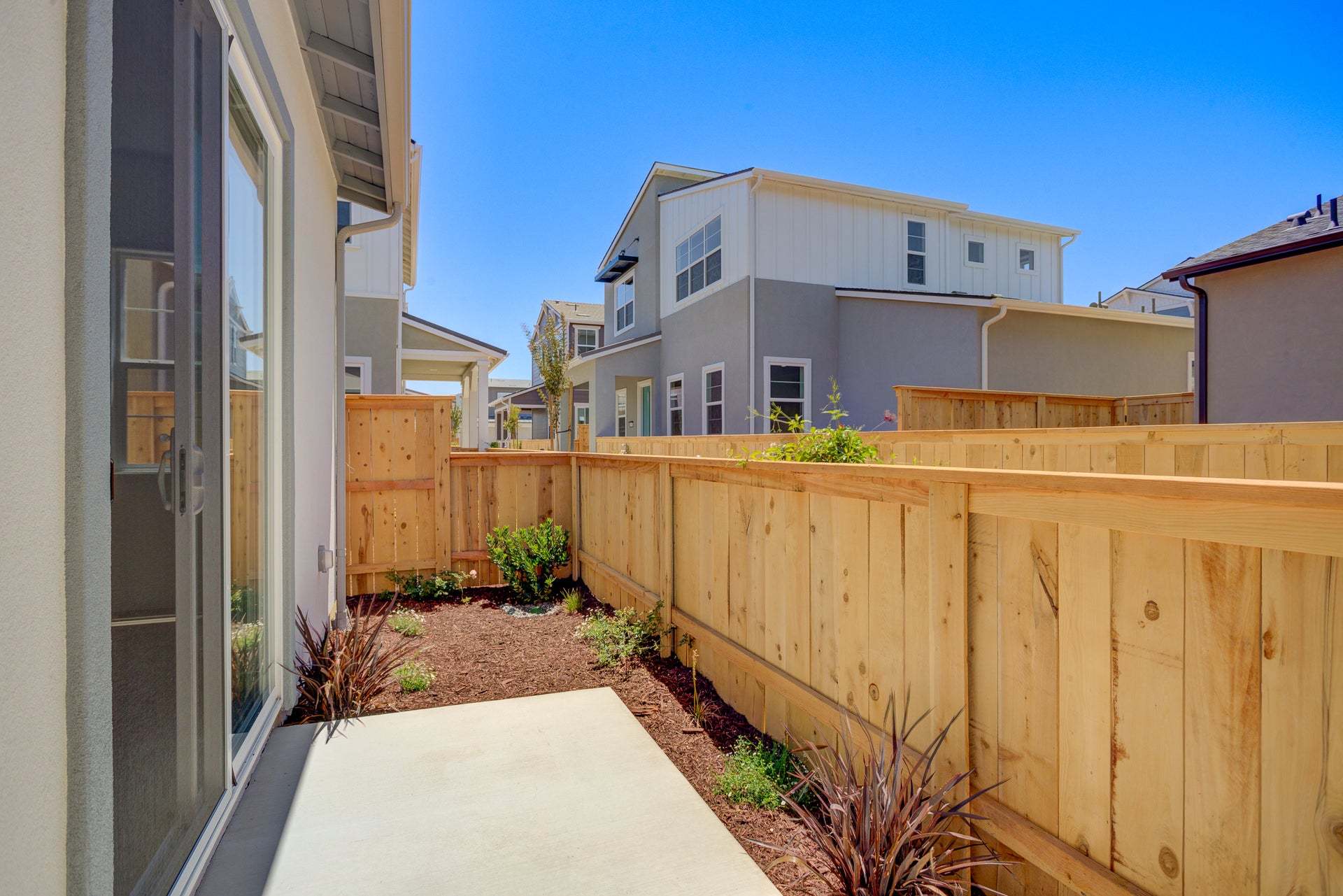 Homesite 255 | Backyard