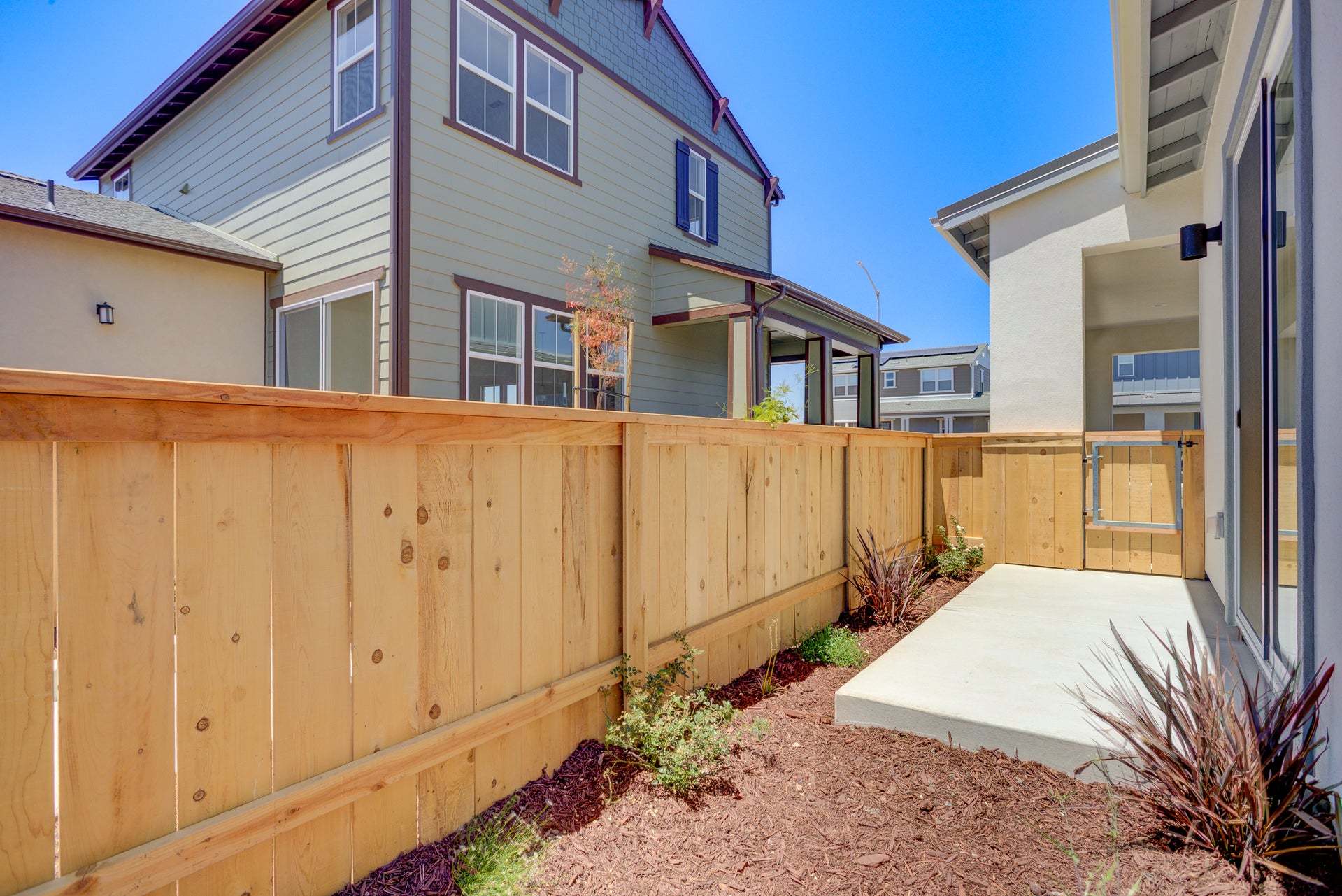 Homesite 255 | Backyard