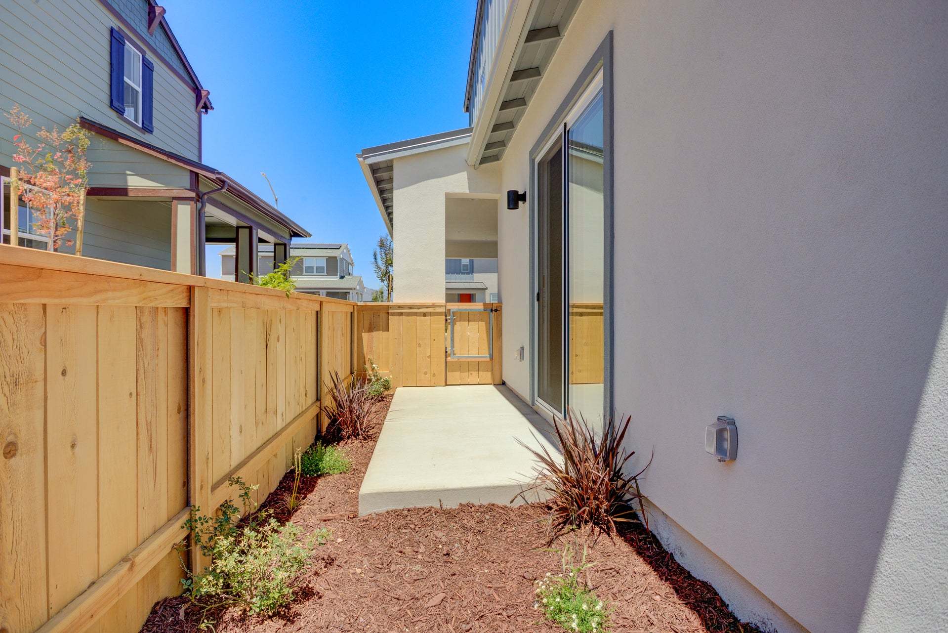 Homesite 255 | Backyard
