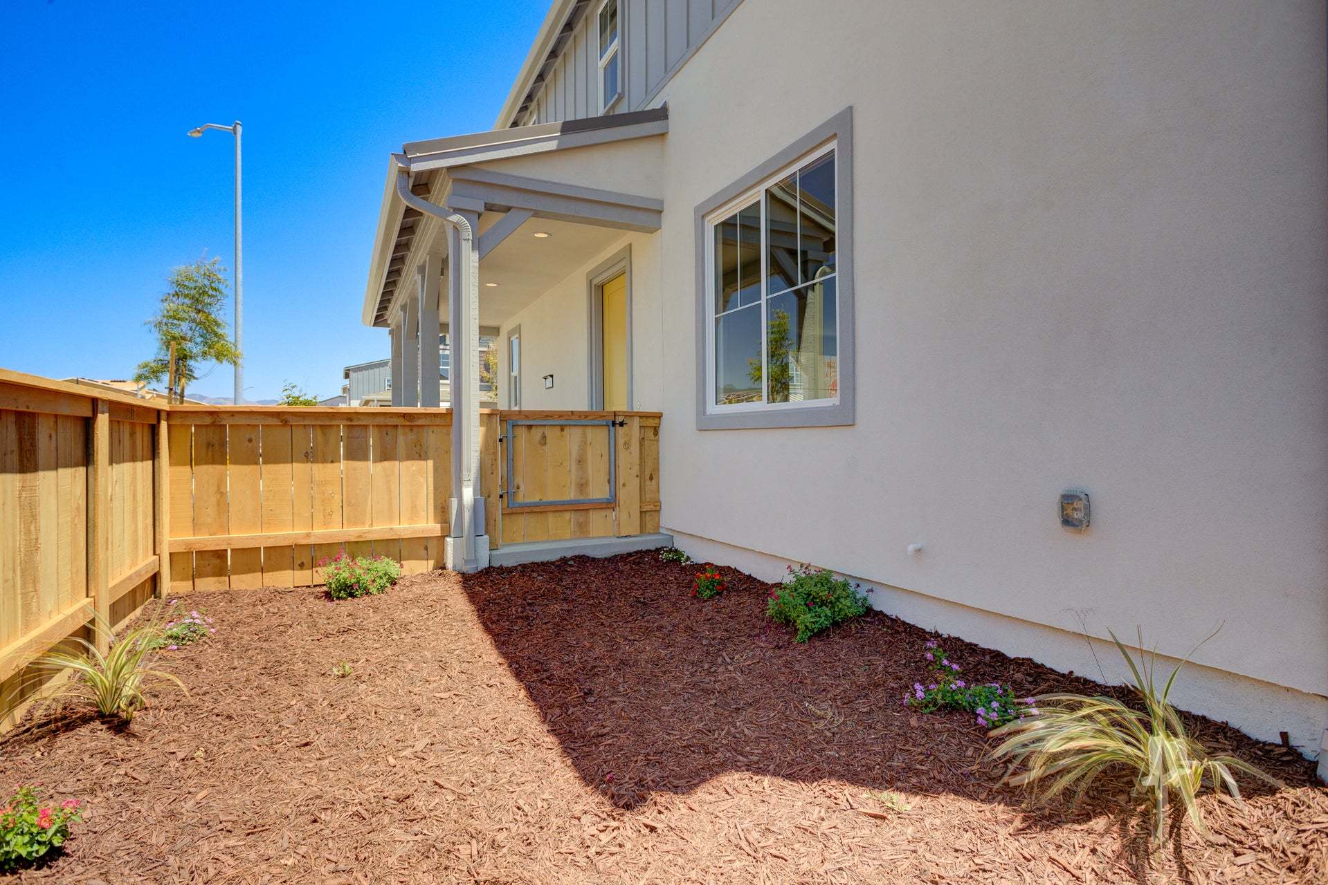 Homesite 260 | Backyard