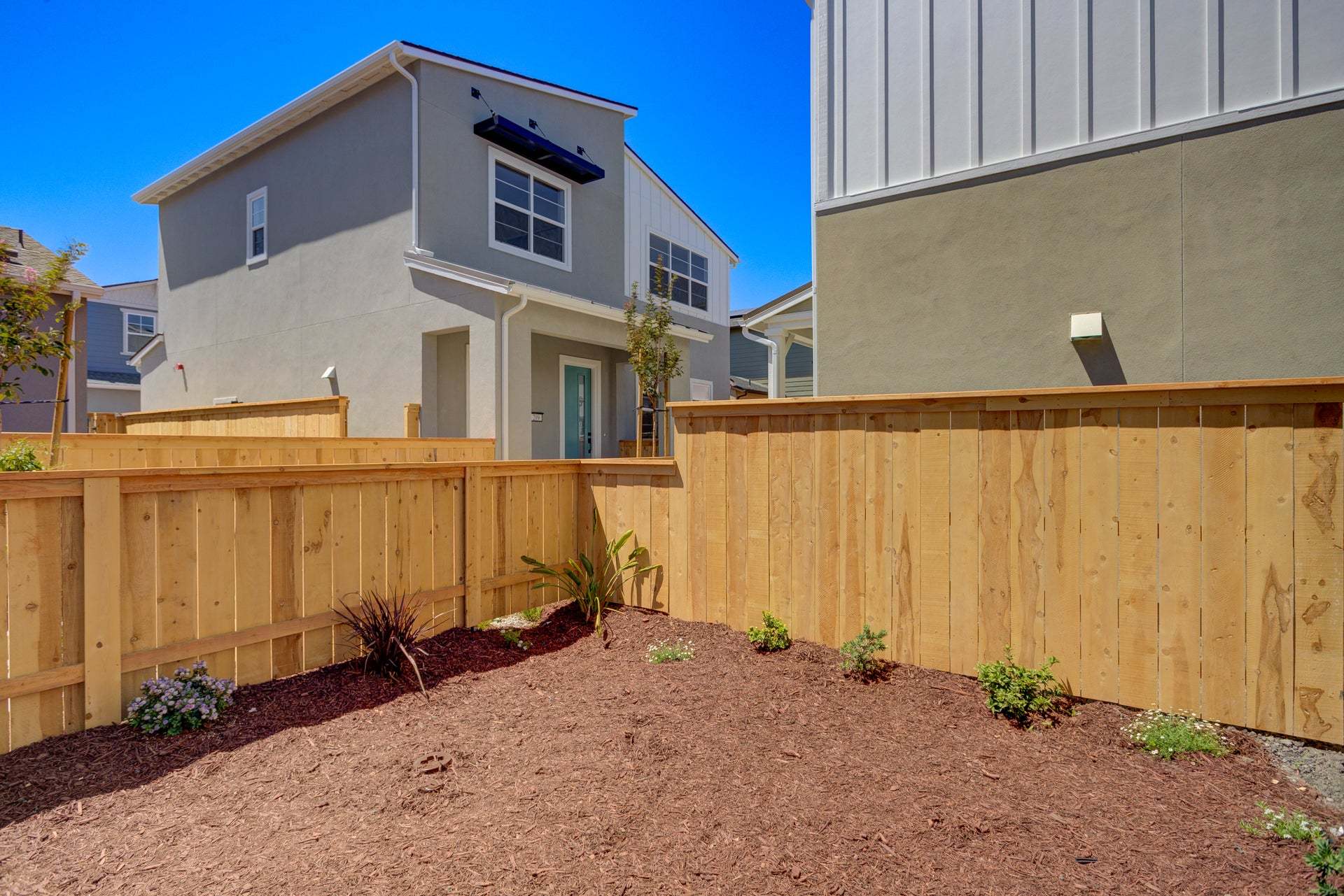 Homesite 257 | Backyard