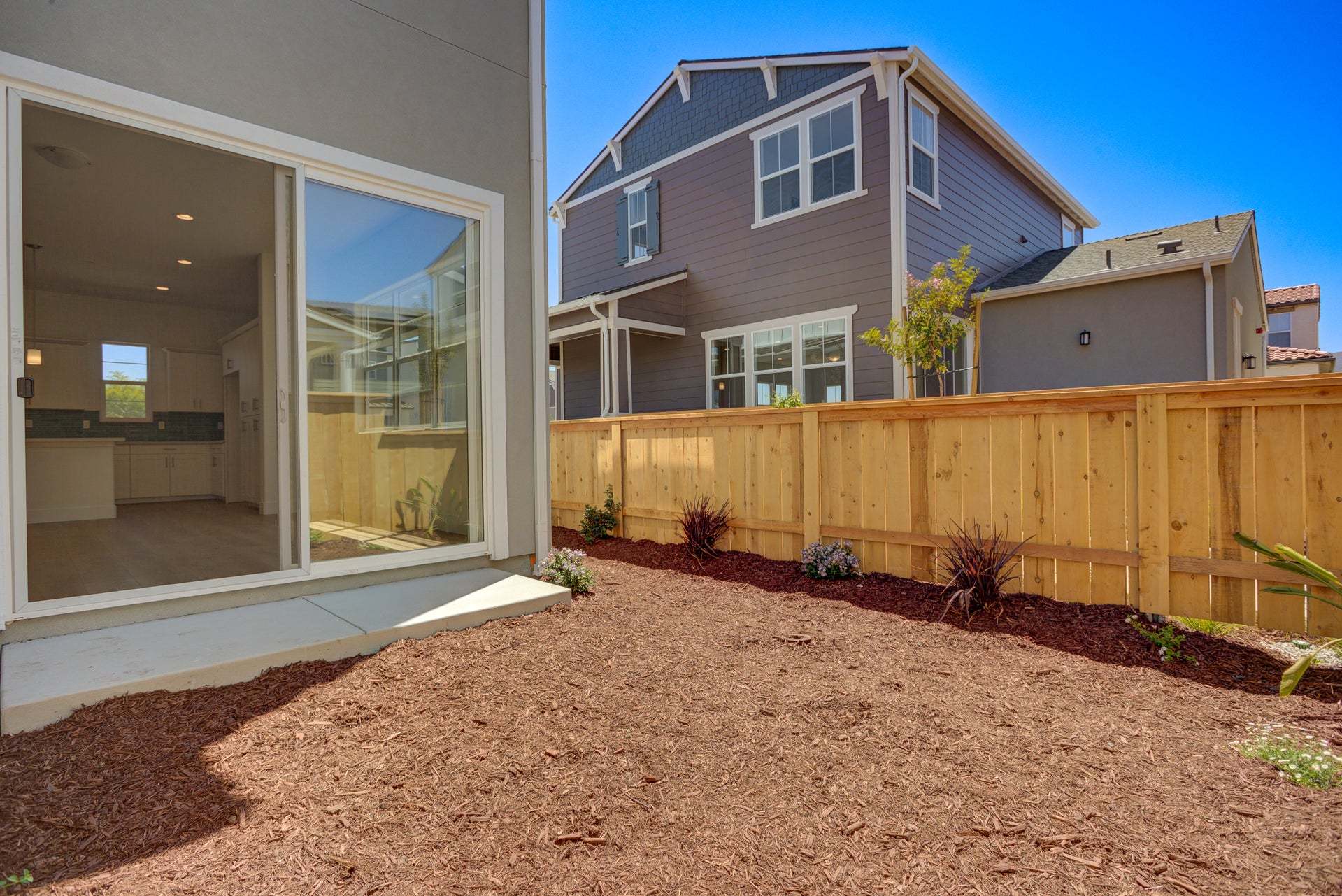 Homesite 257 | Backyard