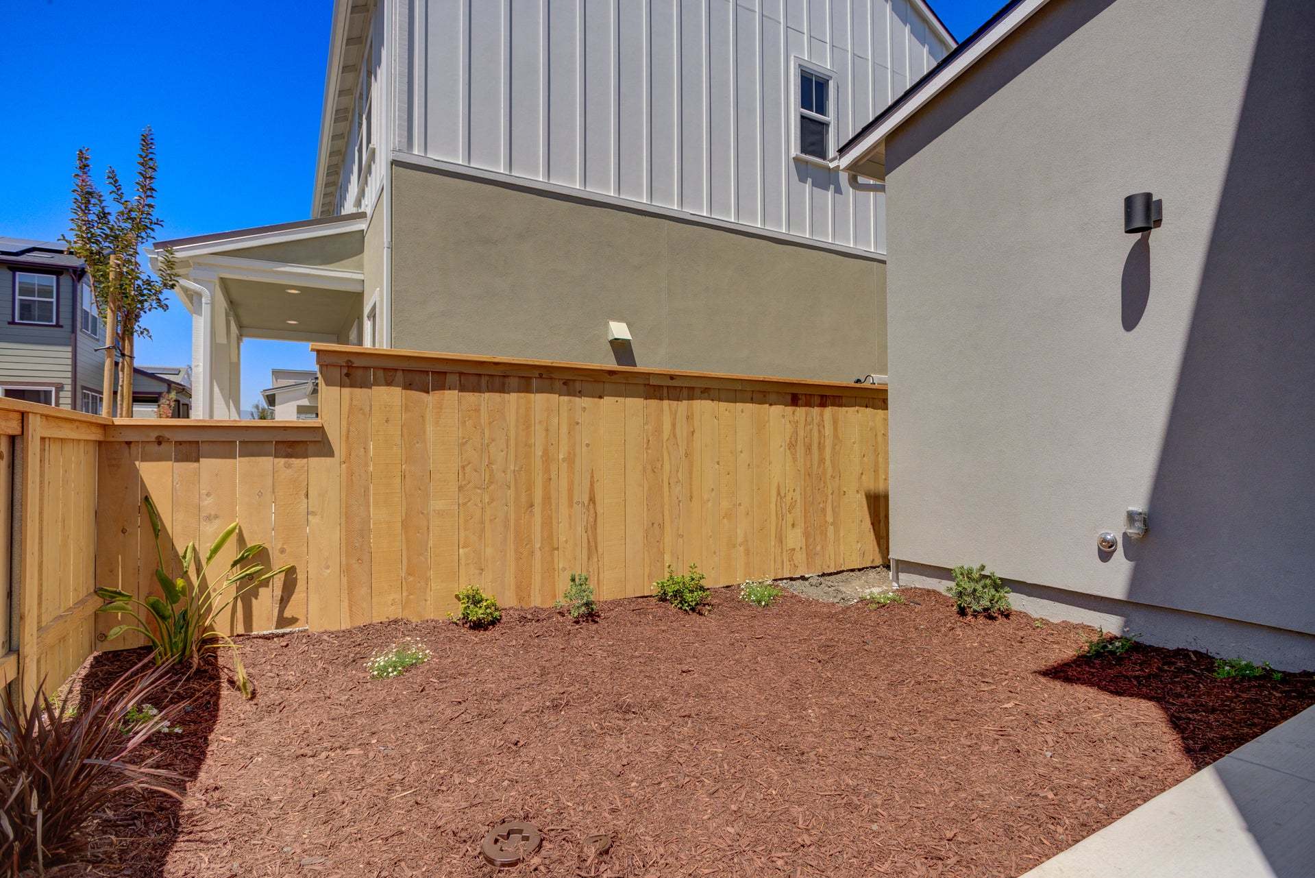 Homesite 257 | Backyard