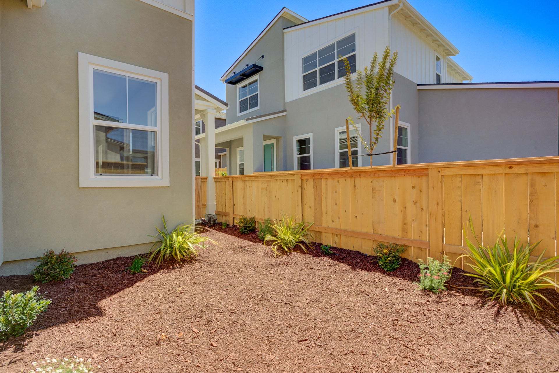 Homesite 256 | Backyard