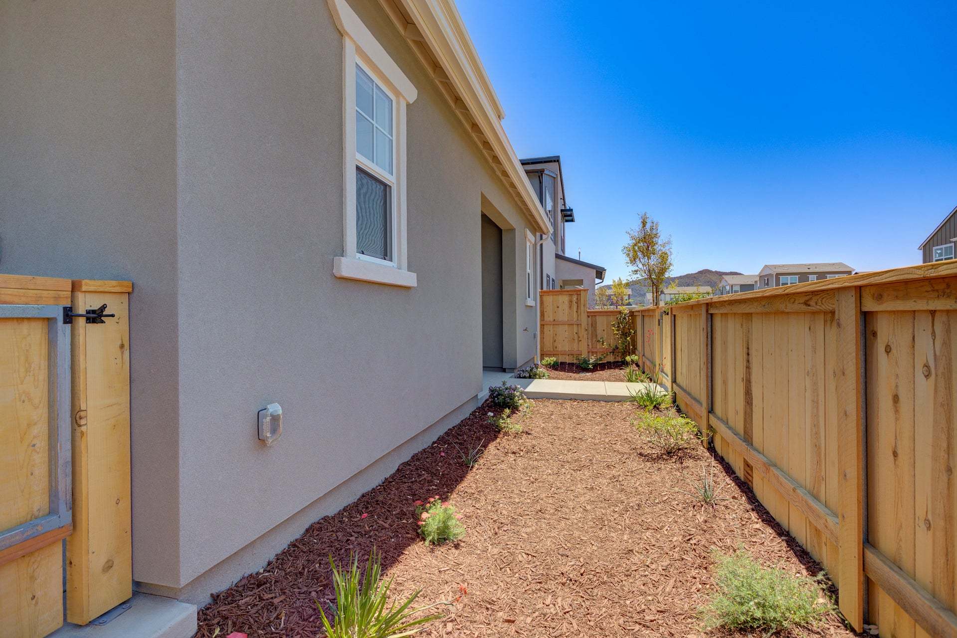 Homesite 261 | Backyard
