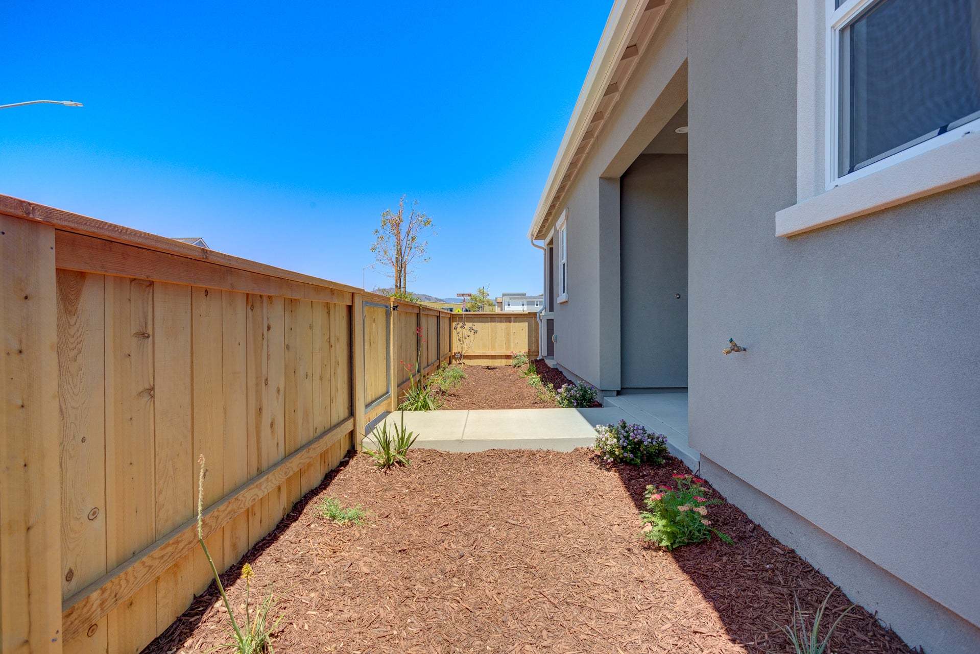 Homesite 261 | Backyard