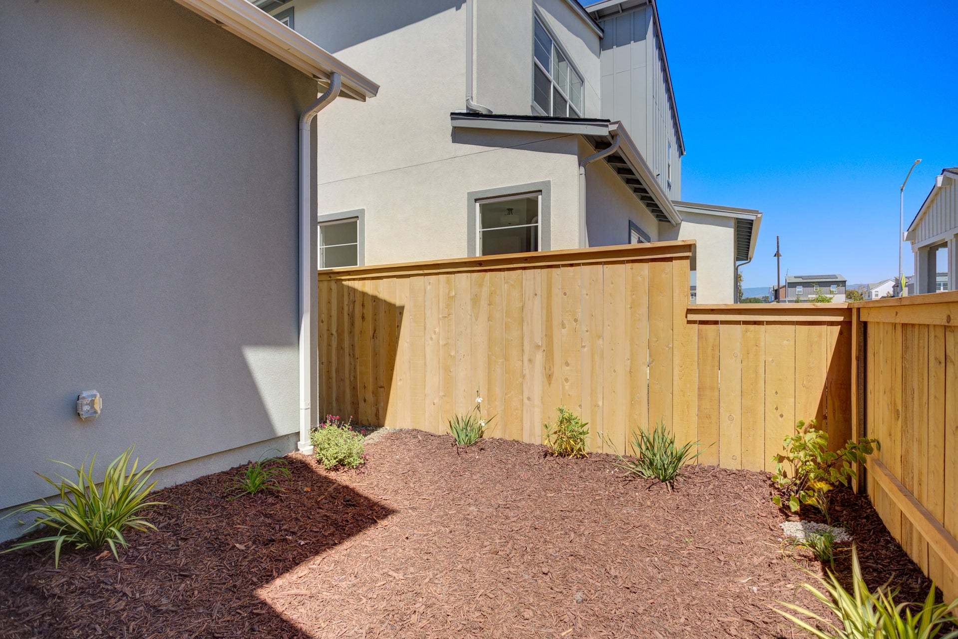 Homesite 265 | Backyard