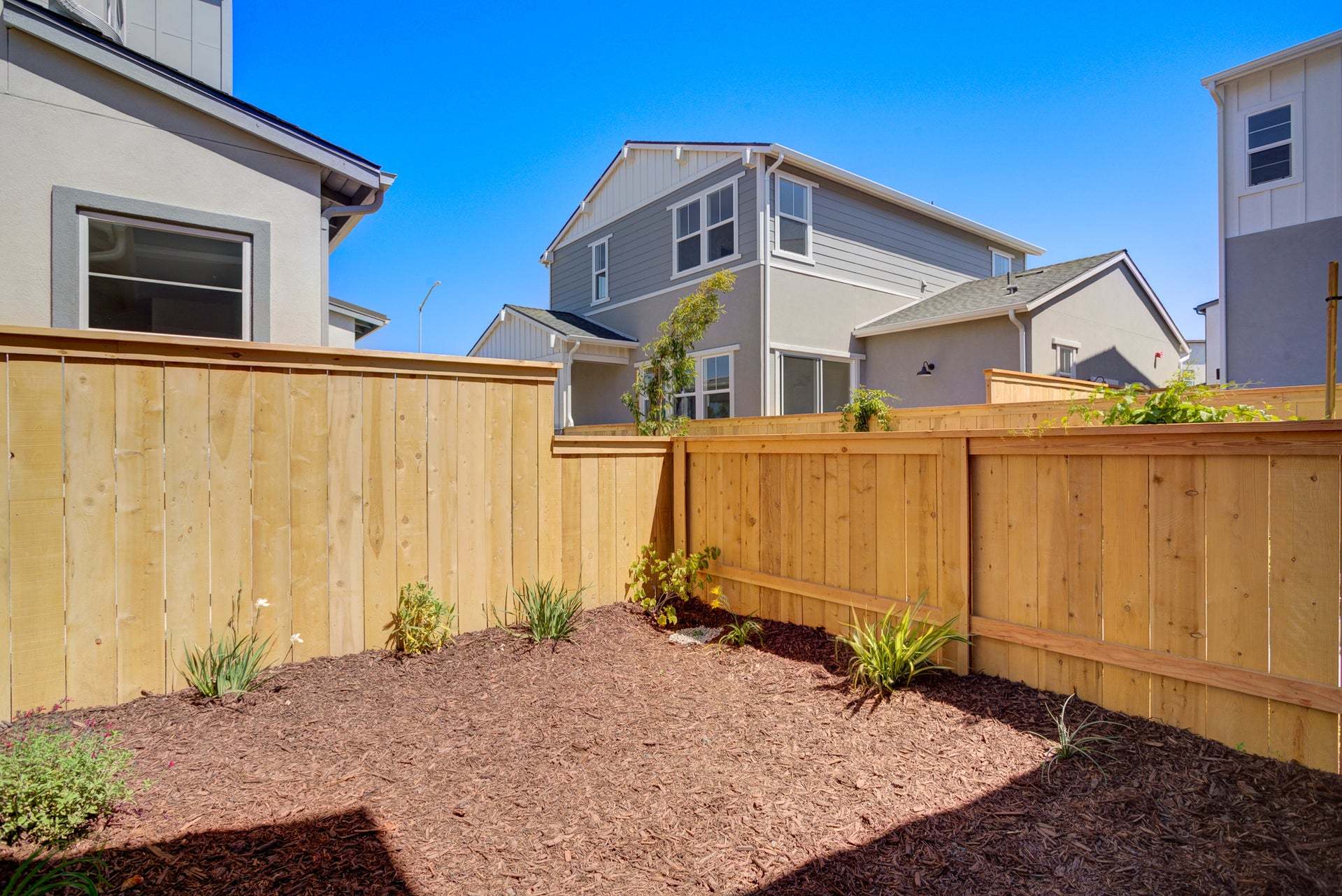 Homesite 265 | Backyard