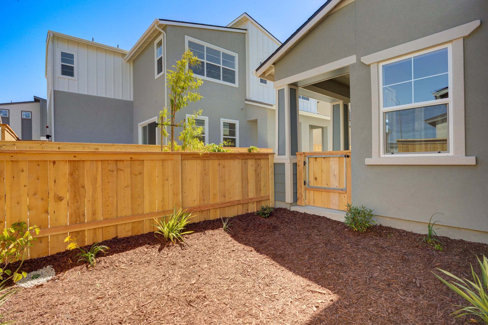 Homesite 265 | Backyard