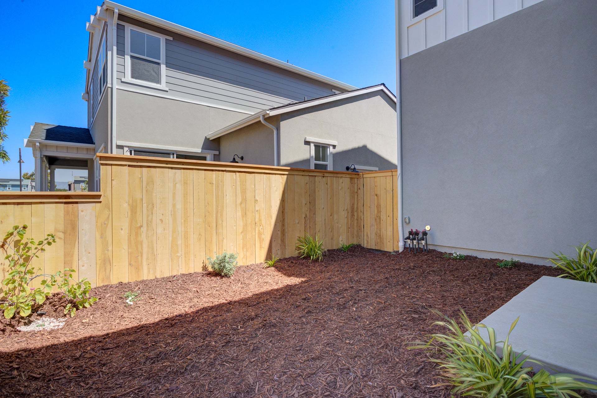 Homesite 268 | Backyard