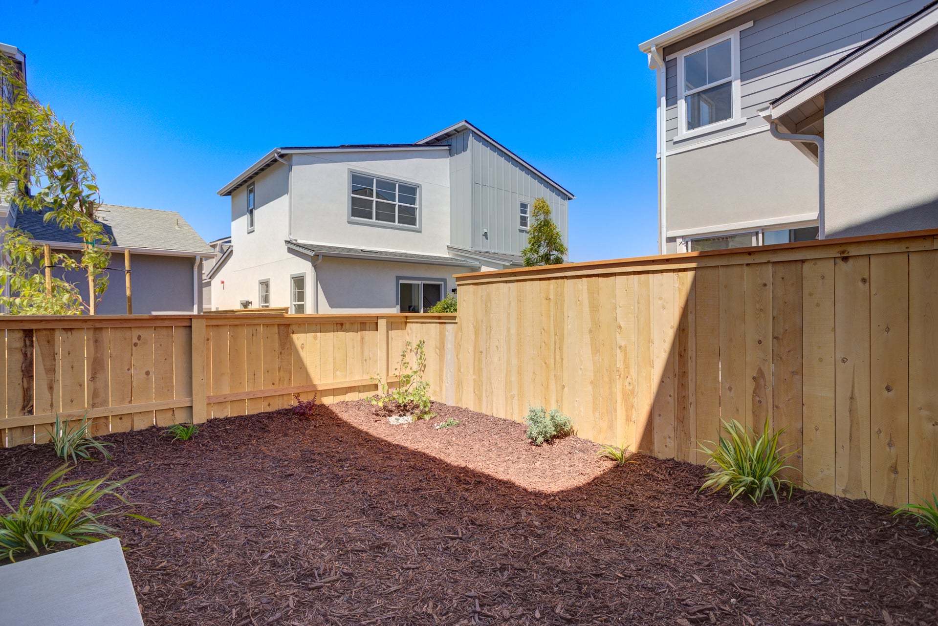 Homesite 268 | Backyard