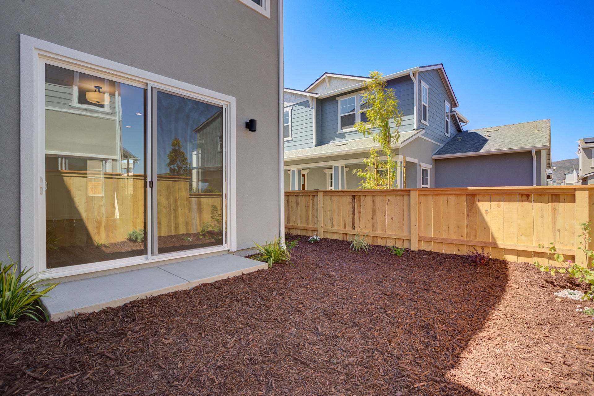 Homesite 268 | Backyard