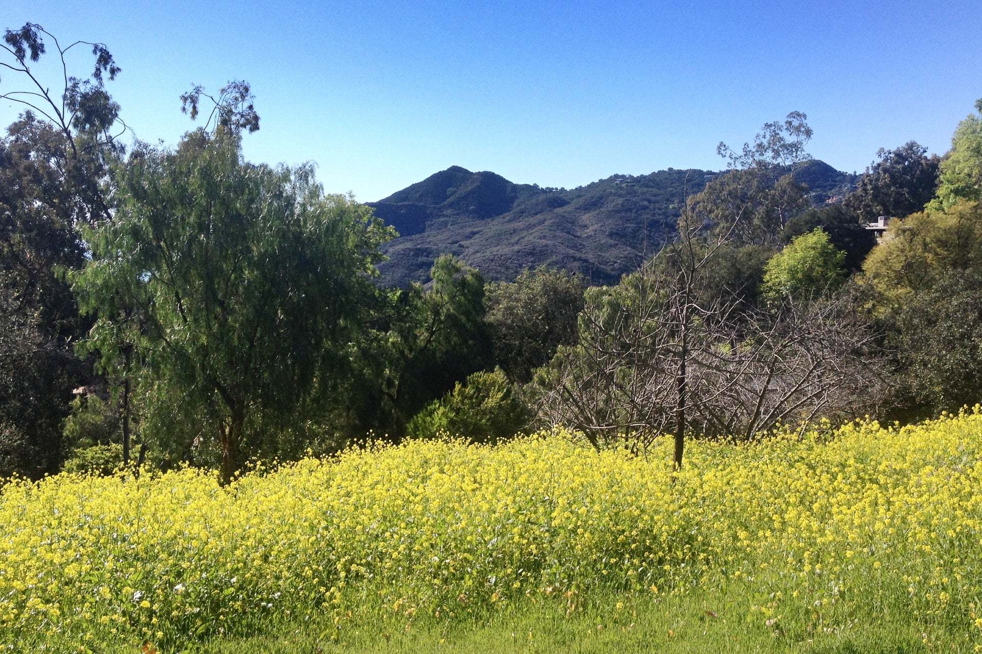 Ocean Breeze | Bonsall | Lifestyle