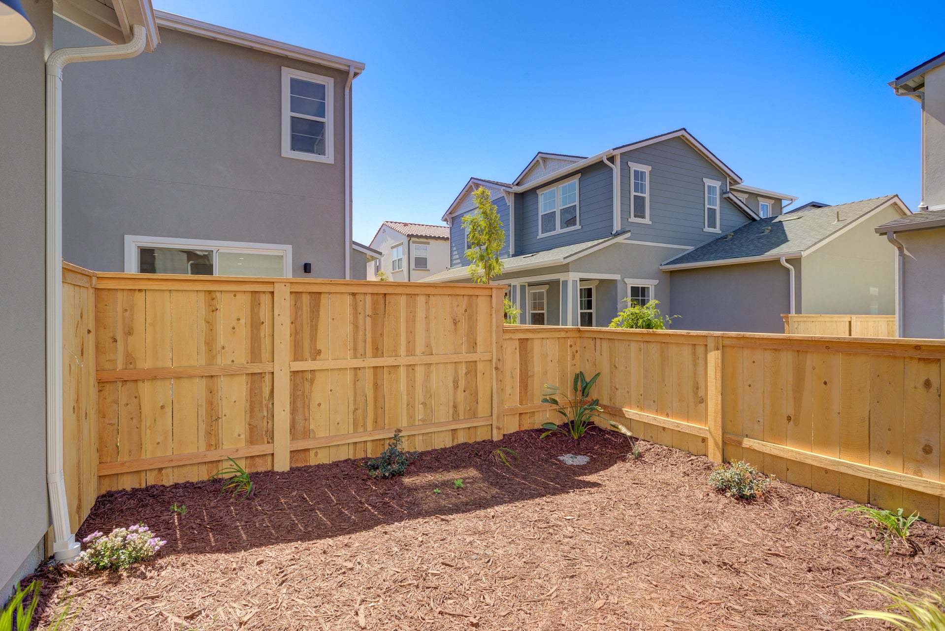 Homesite 267 | Backyard