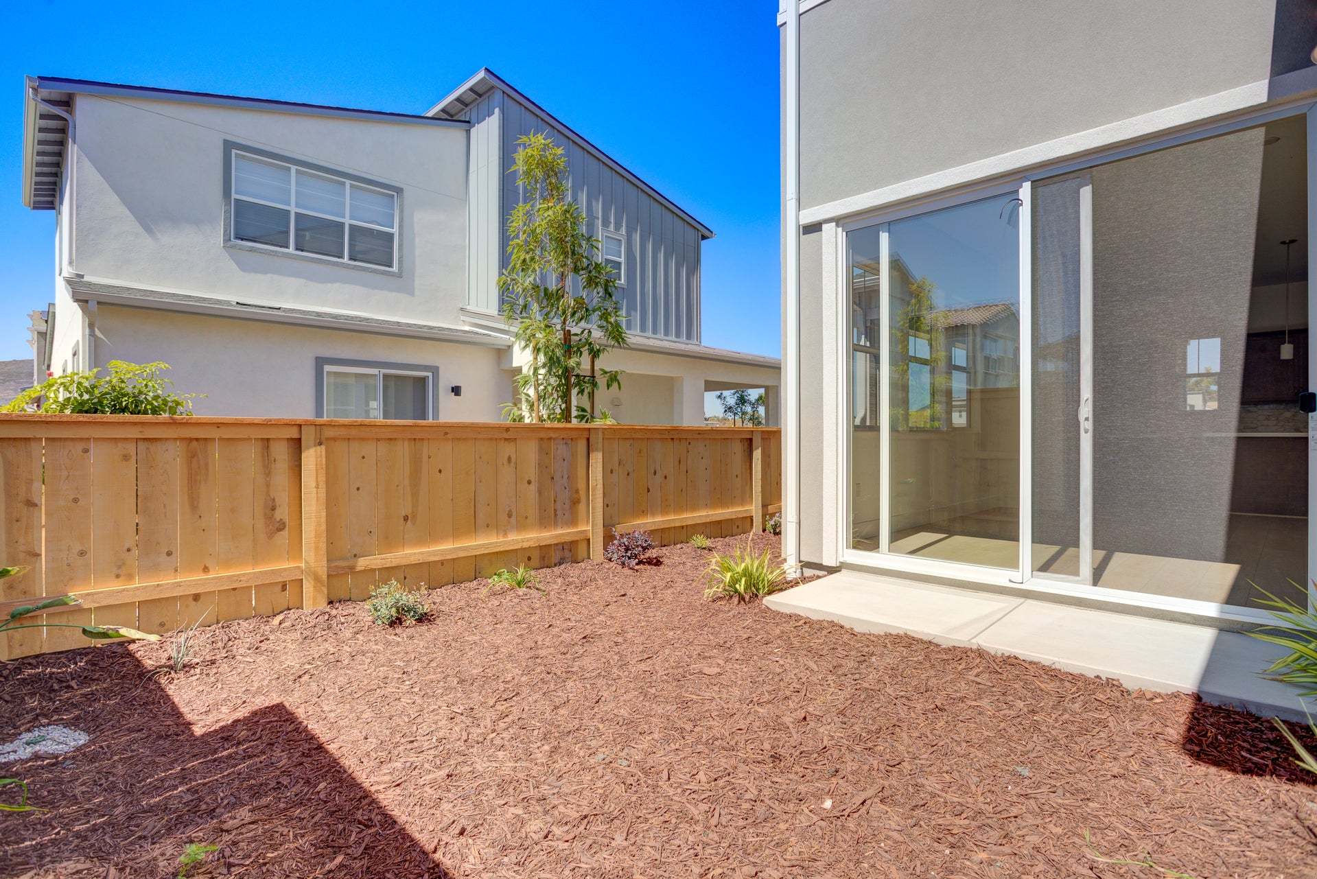 Homesite 267 | Backyard