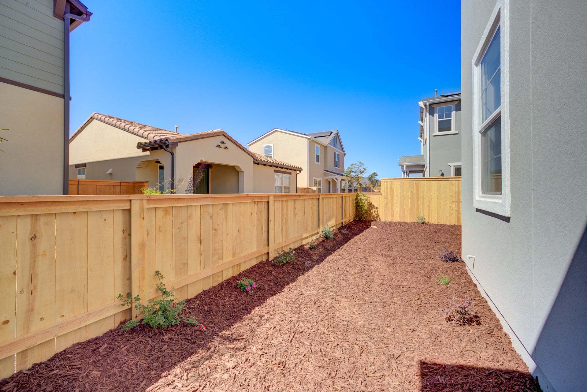 Homesite 313 | Backyard