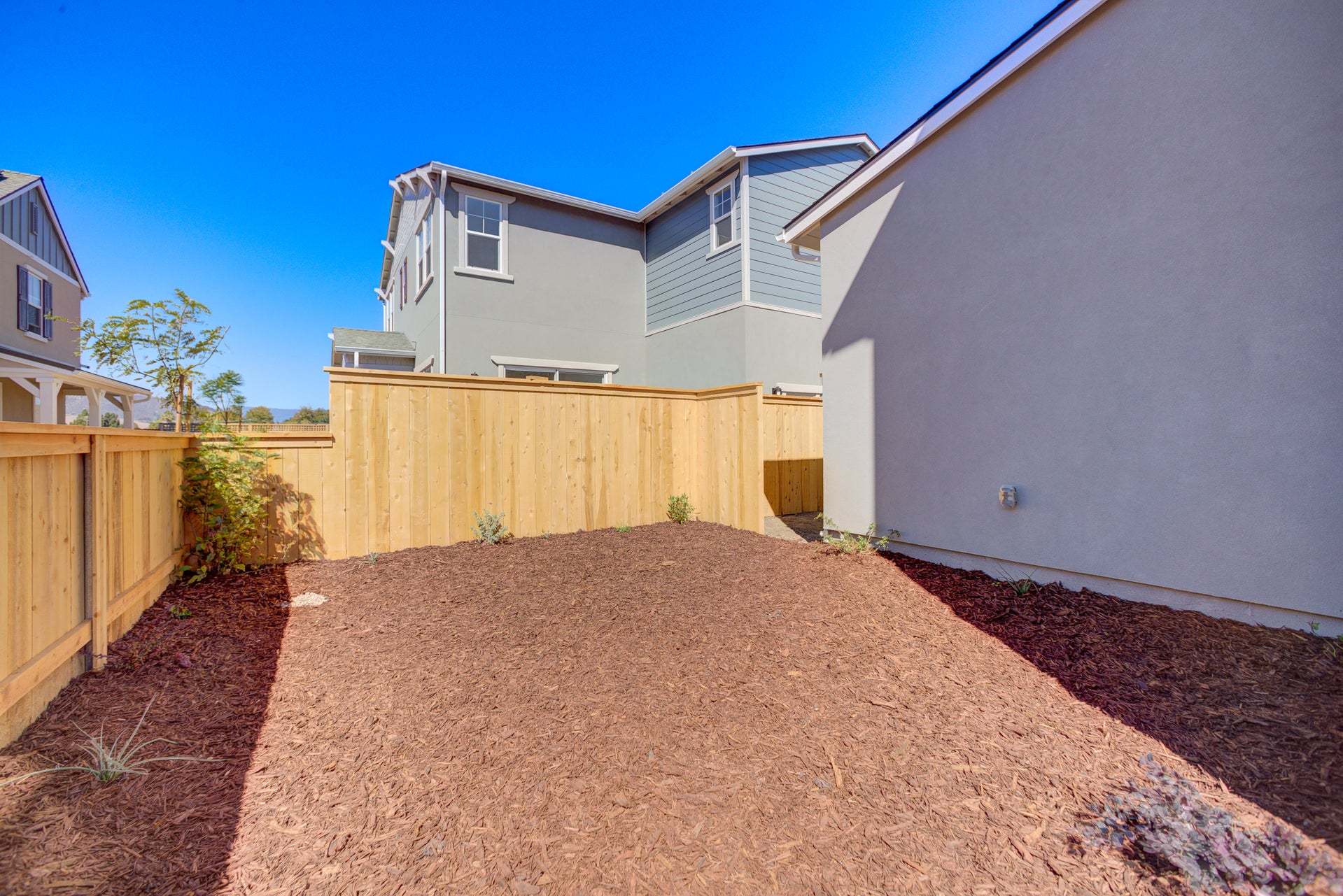 Homesite 313 | Backyard