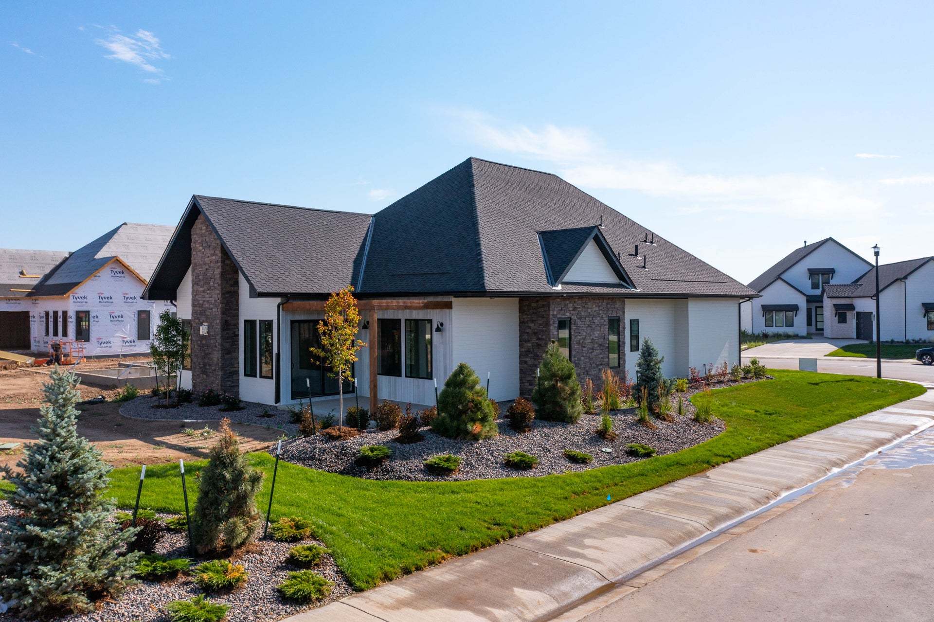 1554 Winter Glow Dr. Windsor, CO 80550