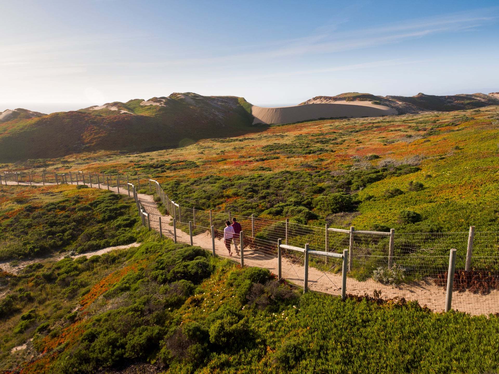 Layia at Sea Haven Model Home