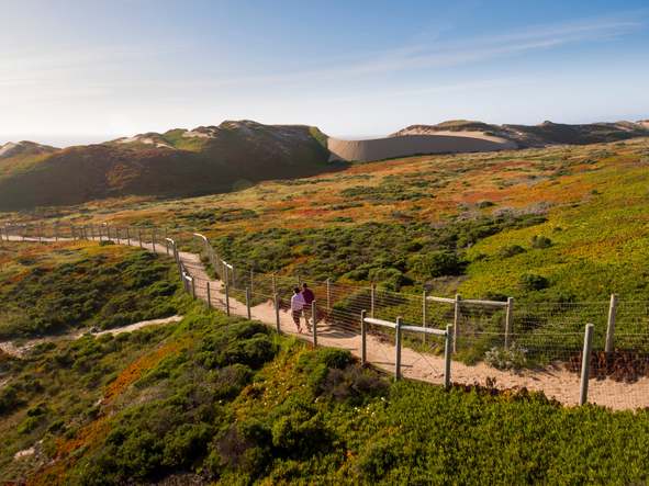 Layia at Sea Haven Model Home