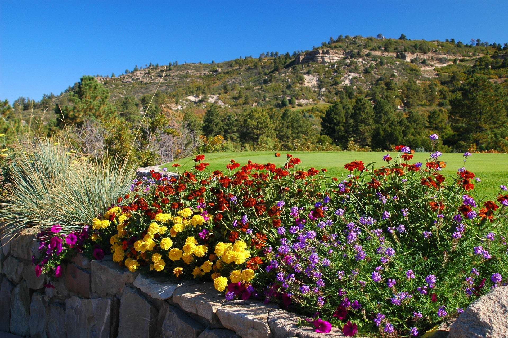 Scenic View | The Village at Castle PInes
