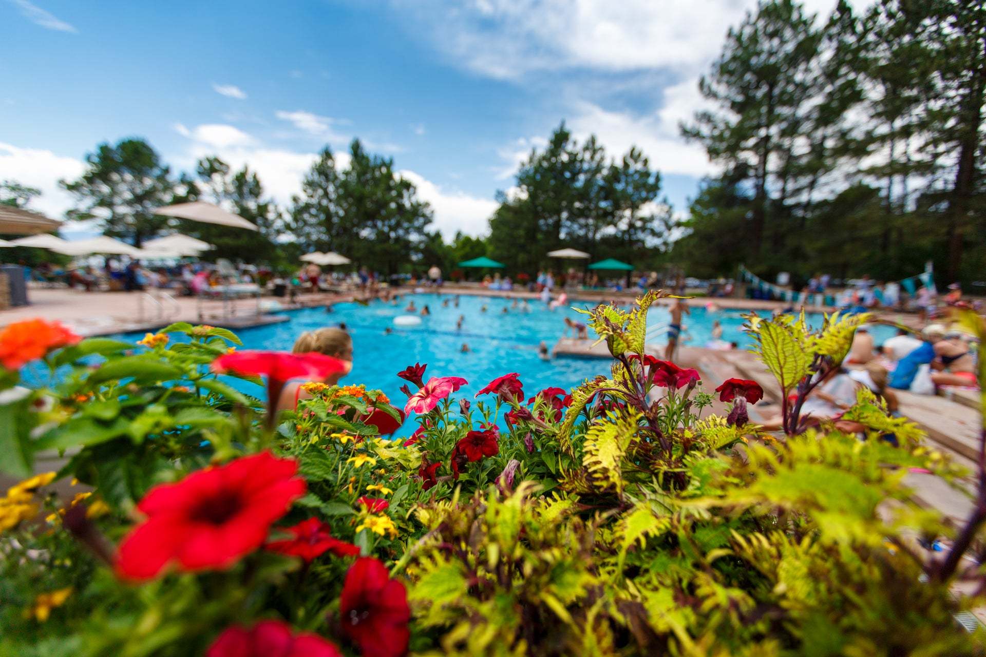 Clubhouse Pool | The Village at Castle Pines