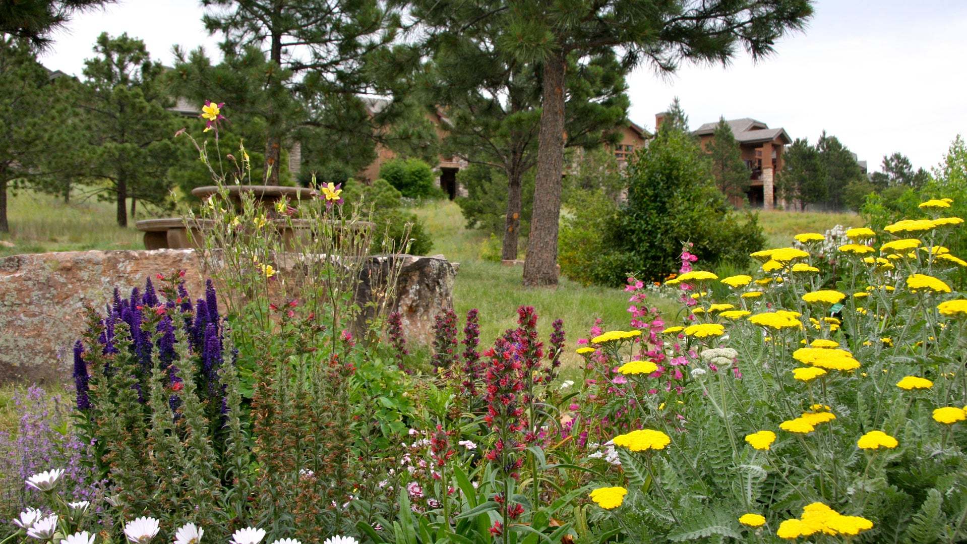 Scenic View | The Village at Castle Pines