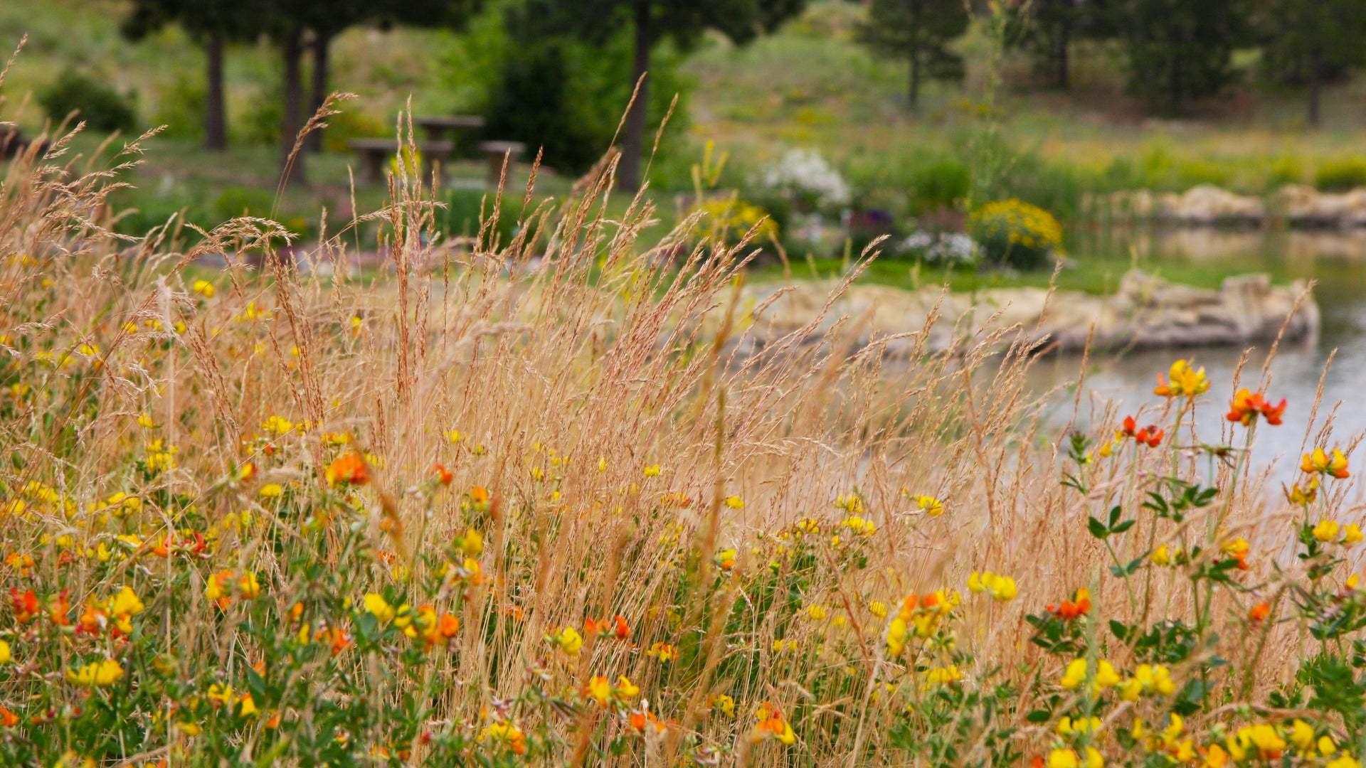 Scenic View | The Village at Castle Pines